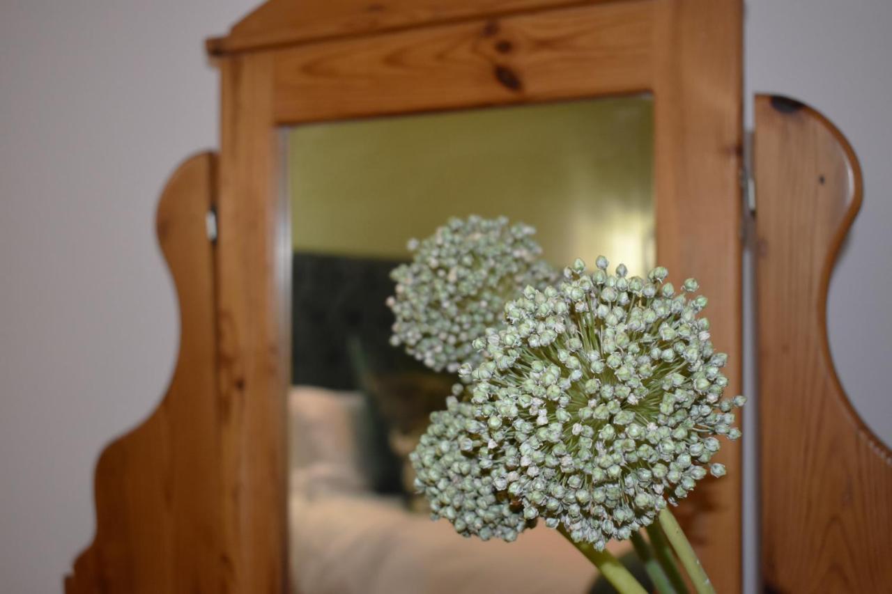Apartament The Botanical House Somerset West Zewnętrze zdjęcie