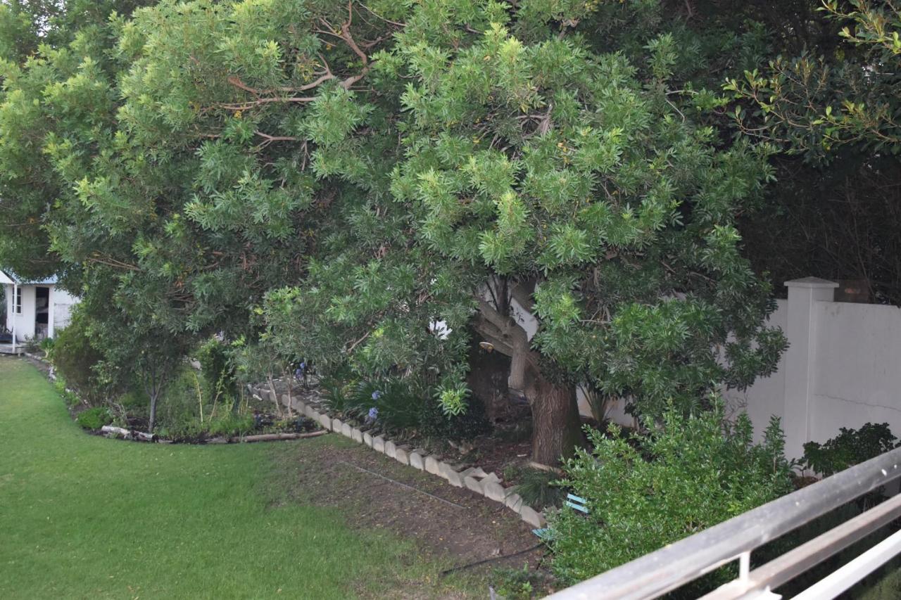 Apartament The Botanical House Somerset West Zewnętrze zdjęcie