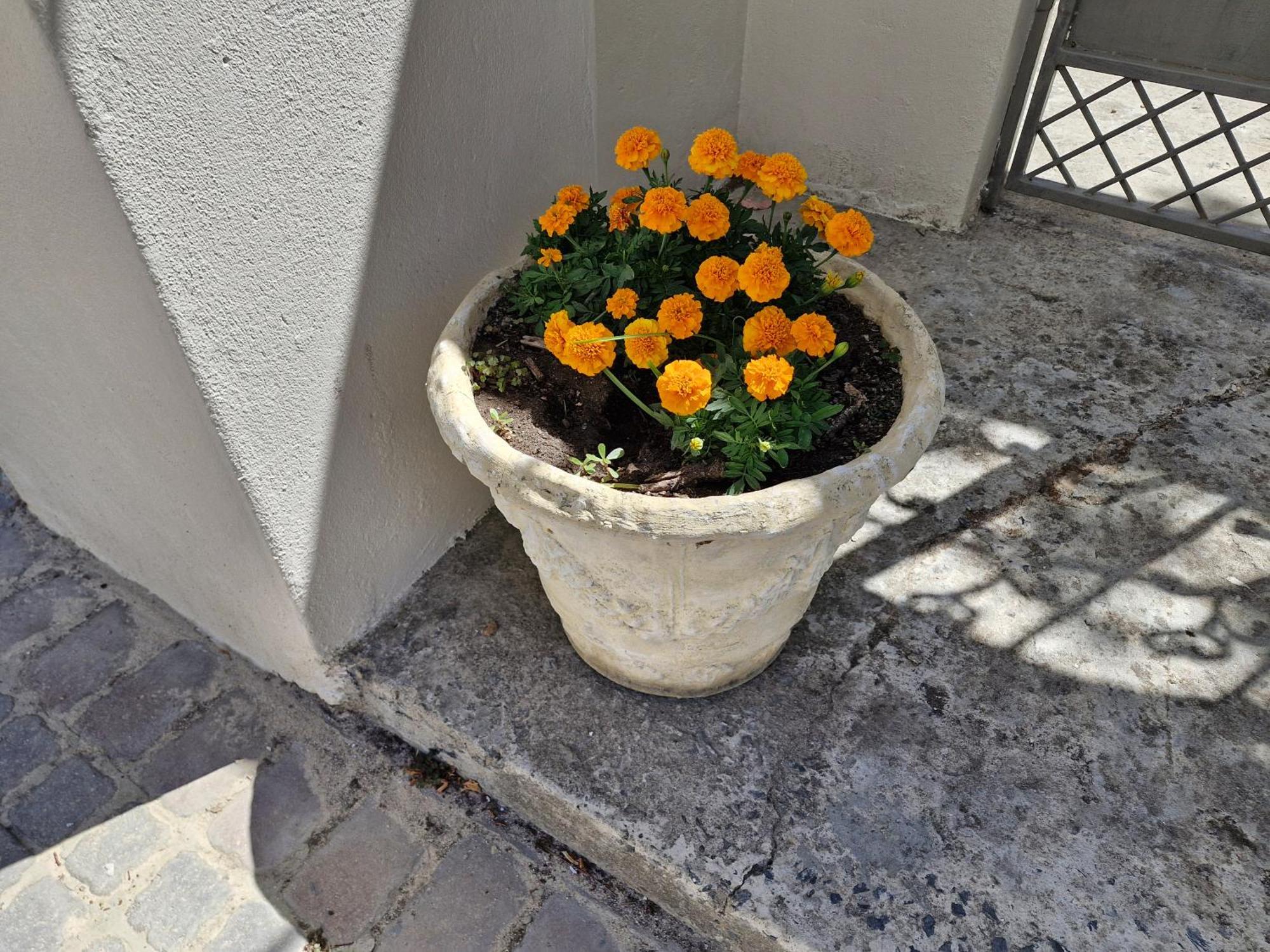 Apartament The Botanical House Somerset West Zewnętrze zdjęcie